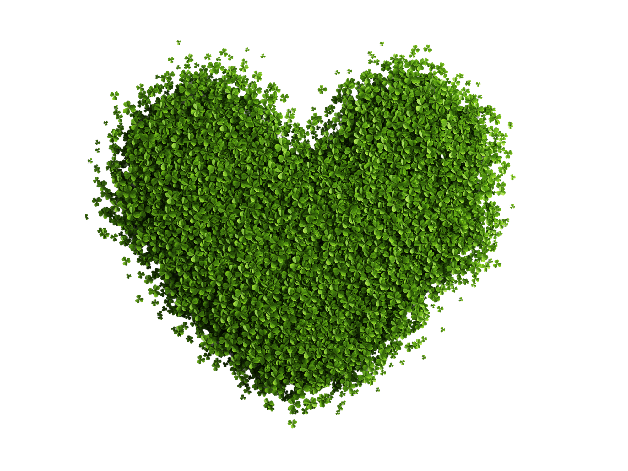 People Colour agora com o Selo ODS Brasil